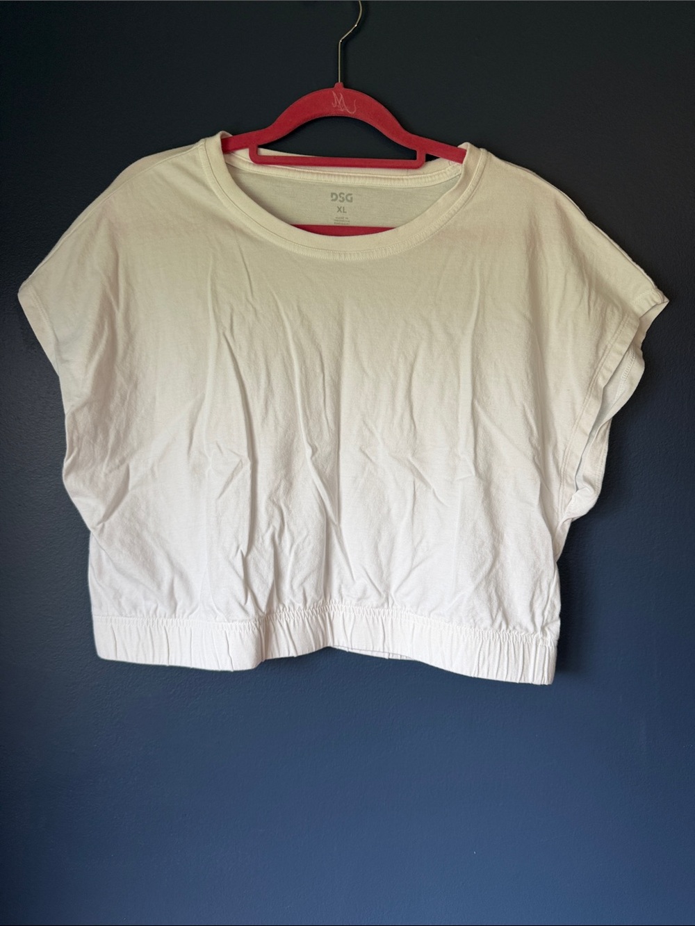 DSG Cream Cropped Elastic-Hem Tee